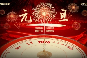 这一年，在蝉联中超冠军之外，我们实现了足协杯夺冠这一梦想