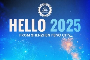告别过去，迎接新的一年！2025，让我们一起期待更多