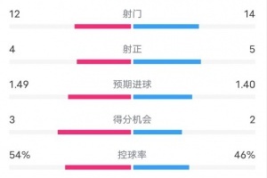 莱斯特城0-2曼城数据：射门12-14，射正4-5，控球率54%-46%