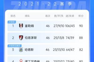 这哥仨真狠！21/22赛季英冠升超三兄弟，正排名英超第2第6第8