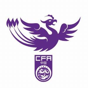 中国女足各级别2024年赛果：8胜3平6负，女足国家队2胜1平2负