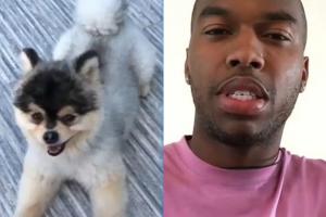 邮报：被告拖欠3万美元的找狗奖金，斯图里奇达成和解支付2万美元