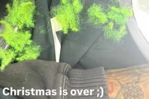 换个色？索汉晒自己剪掉绿色头发的照片：圣诞结束了